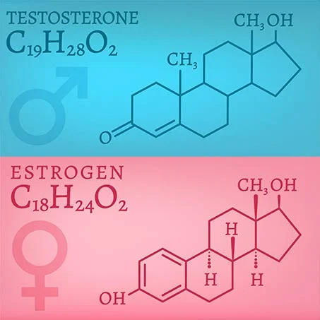 Illustration of the Molecular makeup of Testosterone and Estrogen Hormones